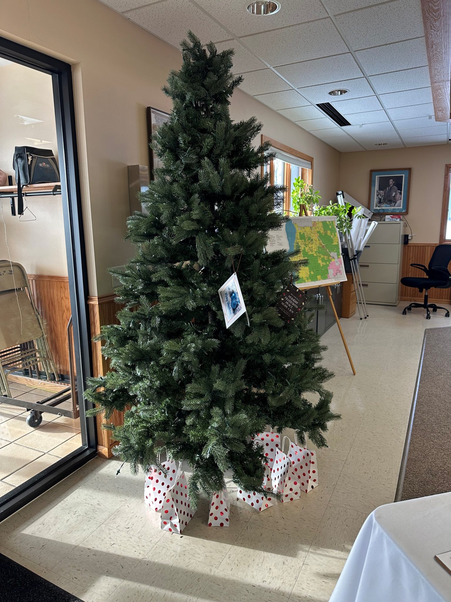 tree – Town of Troy